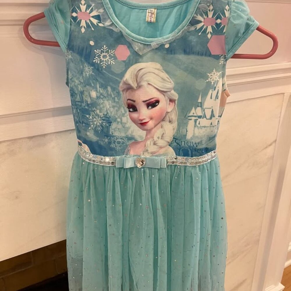 Frozen Dress Up Dress (Size 4-5)